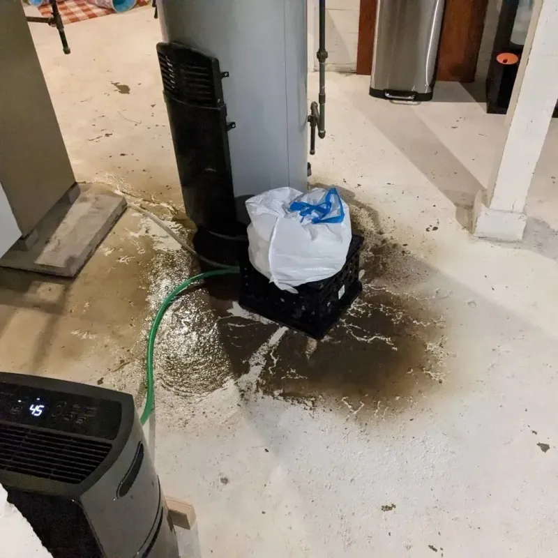 Sewage Backup Cleanup Service in Moores Mill, AL